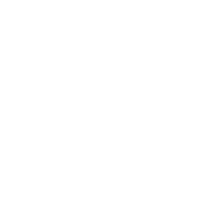 Developpeur Prestashop